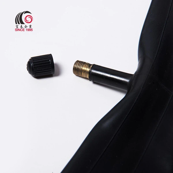 tyre tube bicycle